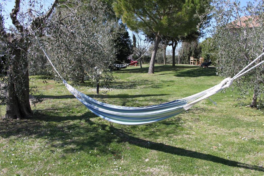 Affittacamere Artemisia Magliano in Toscana Esterno foto
