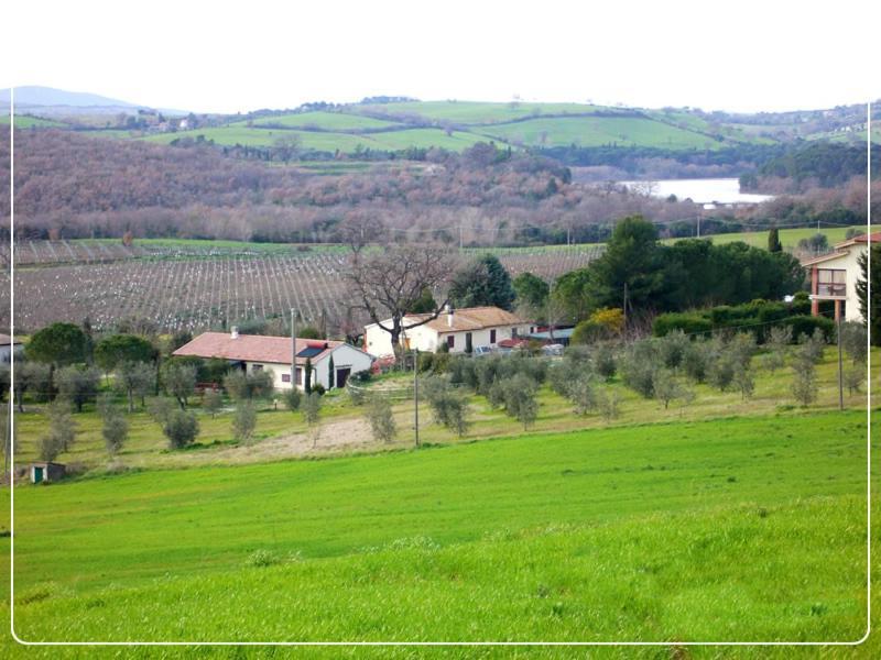 Affittacamere Artemisia Magliano in Toscana Esterno foto