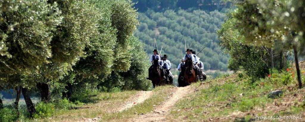 Affittacamere Artemisia Magliano in Toscana Esterno foto